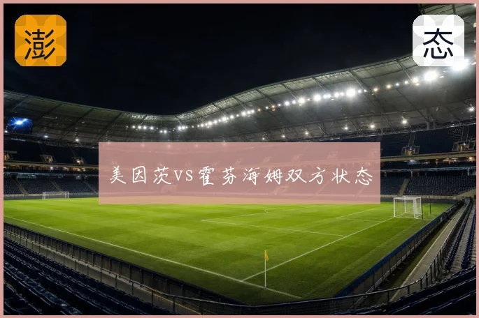 美因茨vs霍芬海姆双方状态